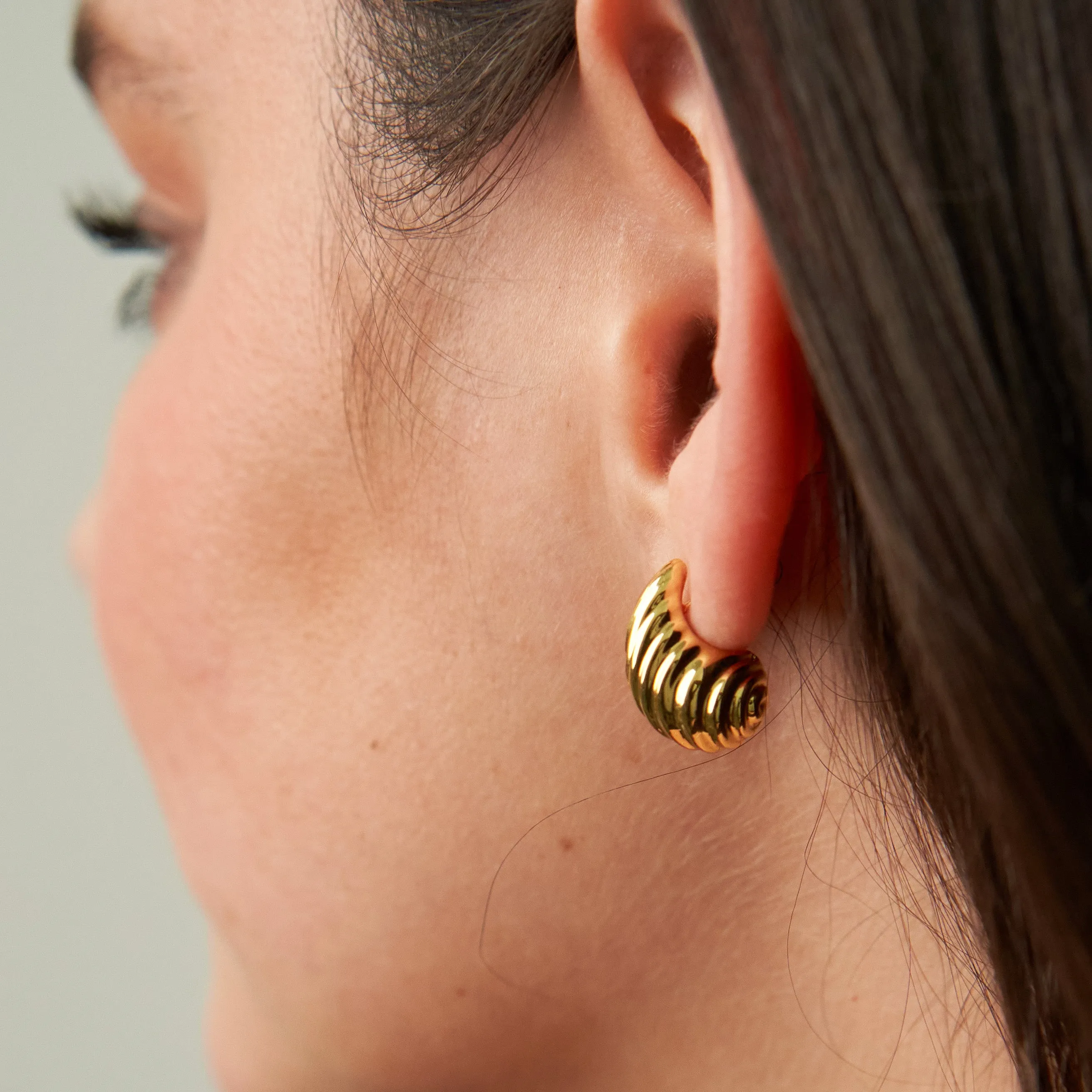 Small Shell Earrings